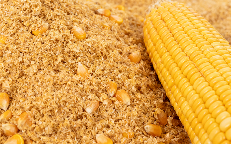 免水全自動凱氏定氮法測定玉米麩的含氮量